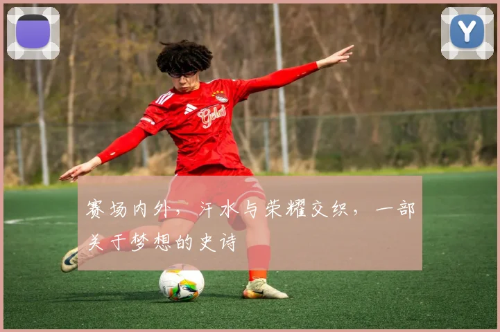 赛场内外,汗水与荣耀交织,一部关于梦想的史诗