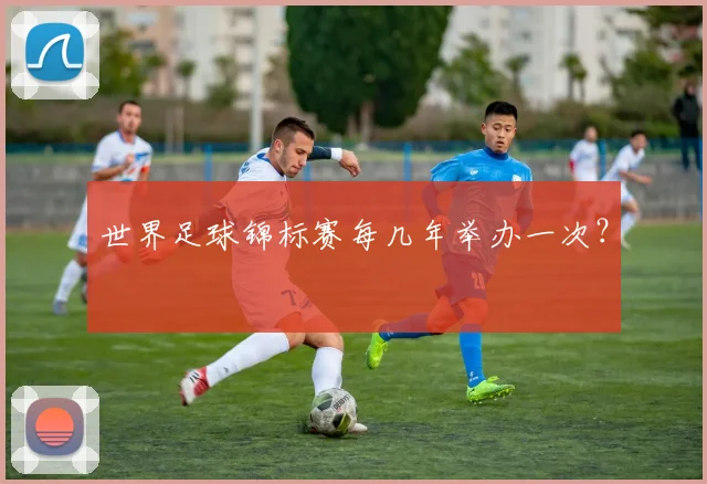 世界足球锦标赛每几年举办一次？