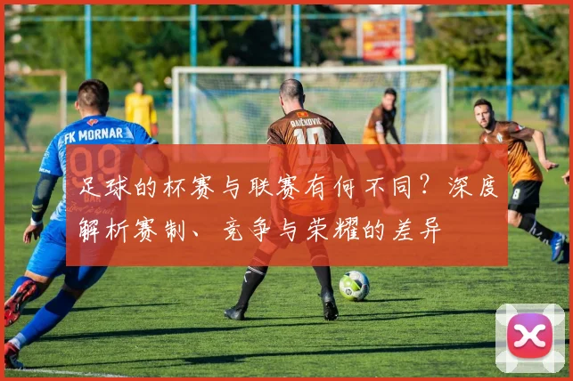 足球的杯赛与联赛有何不同?深度解析赛制、竞争与荣耀的差异