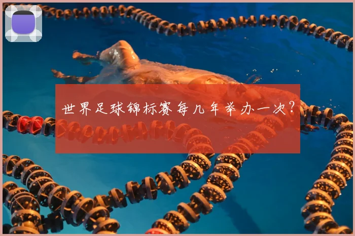 世界足球锦标赛每几年举办一次？